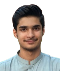 Syed Zain Ul Abideen Qasim